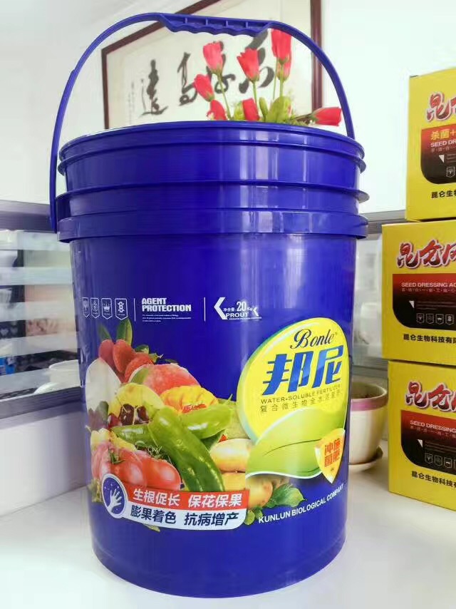 邦尼正面.jpg