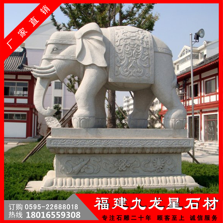 大象1.jpg