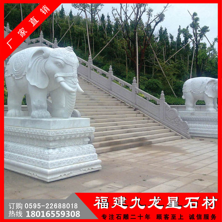 大象69.jpg