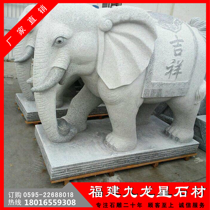 大象11.jpg