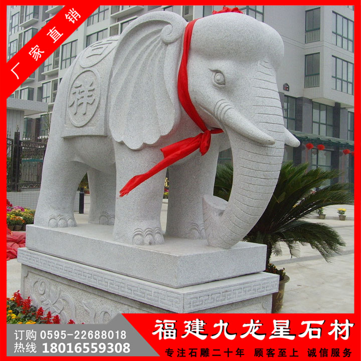 大象51.jpg