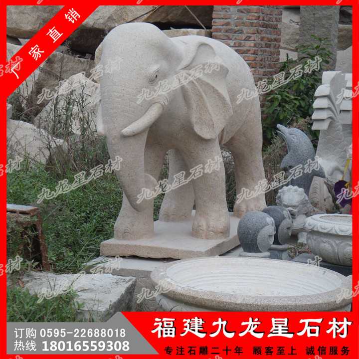 大象31.jpg