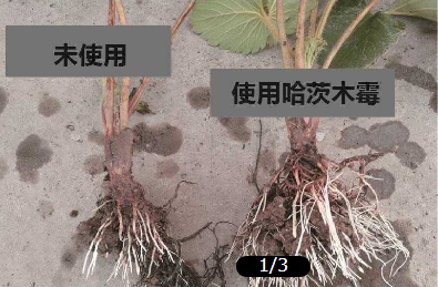 圖片28.png