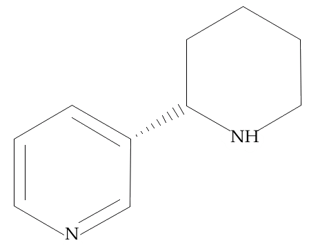 假木贼碱新烟cas494520