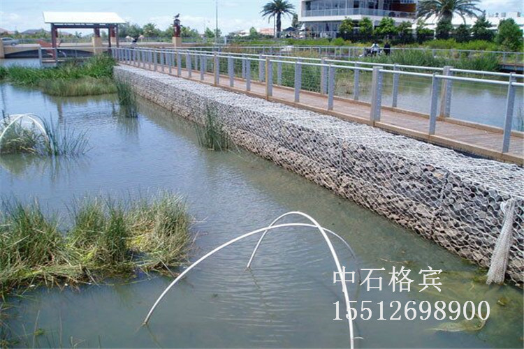 网箱工程 - 副本.jpg