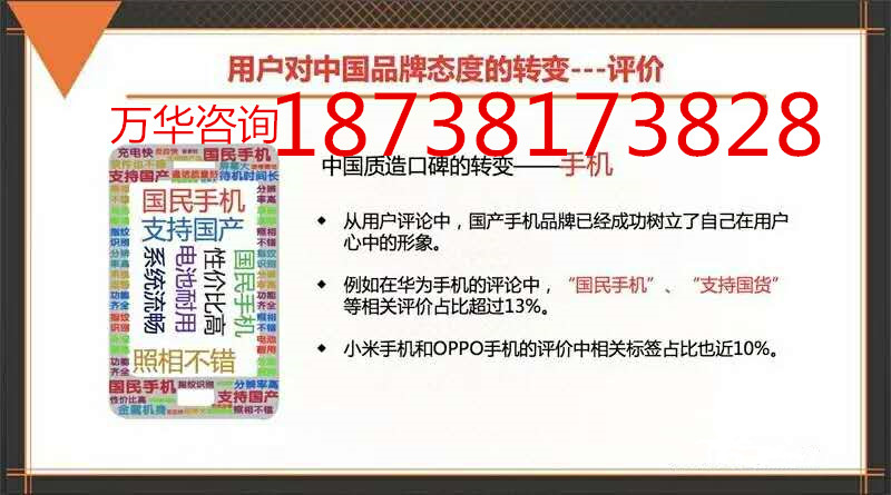 长碳链尼龙、耐高温尼龙等新型聚酰胺开发与生产可行性报告代写