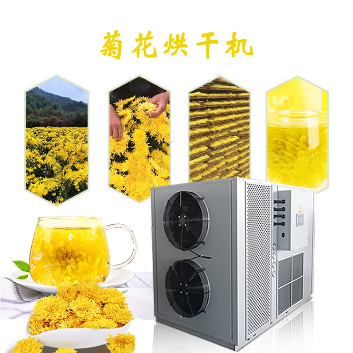菊花烘干机Q.jpg