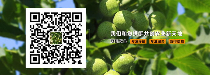 网站新1.jpg