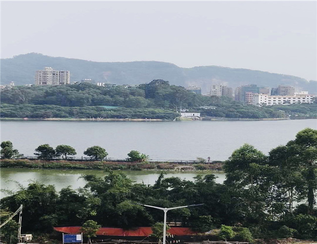 虎门居岐便宜小产权房单价2680元田园湖景