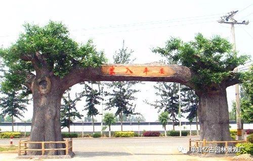 山西生態(tài)園大門_生態(tài)園大門做用都有哪些
