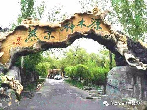 蘇州景區(qū)假樹_蘇州景觀假樹制作_蘇州景區(qū)假樹大門造景