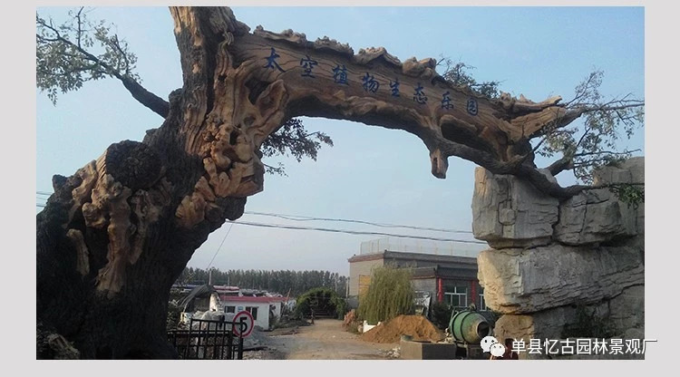 假樹大門施工_生產(chǎn)室內(nèi)外假樹大門廠家