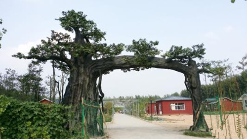 山東水泥假樹廠家_水泥假樹假山大門制作