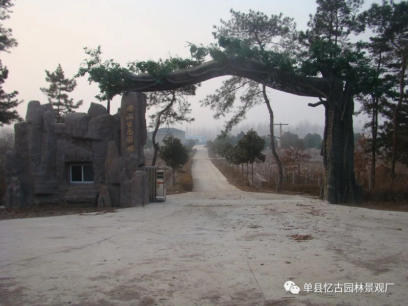 莱芜水泥假树大门 现场设计施工