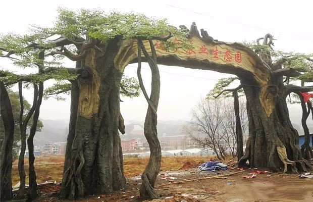 假樹大門 (29).jpg