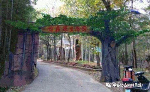 假樹大門 (256).jpg