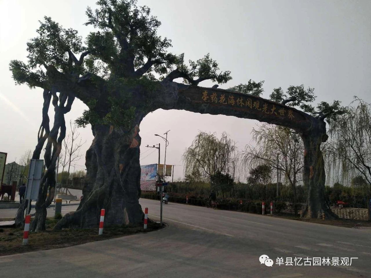假樹大門 (28).jpg