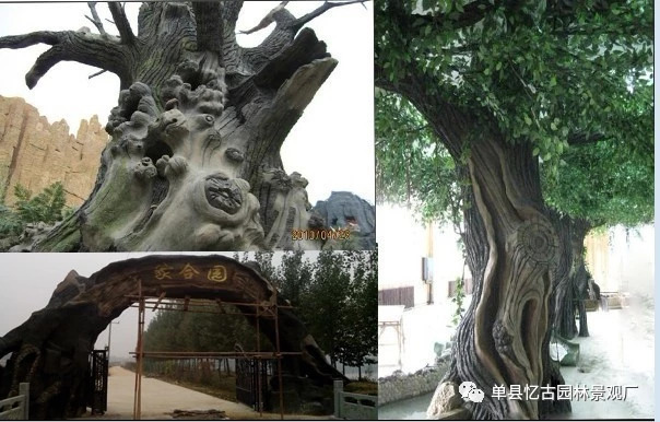 假樹(shù)大門(mén) (279).jpg