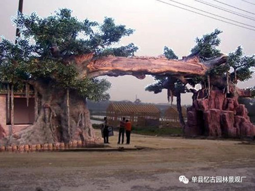 假樹大門 (31).jpg