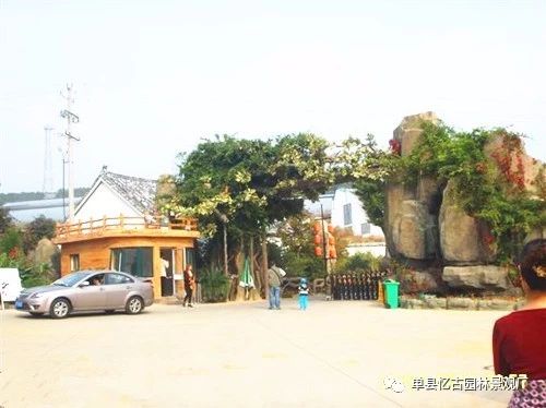 假樹大門 (169).jpg