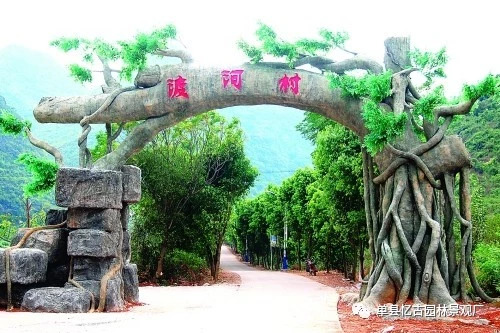 假樹大門 (238).jpg