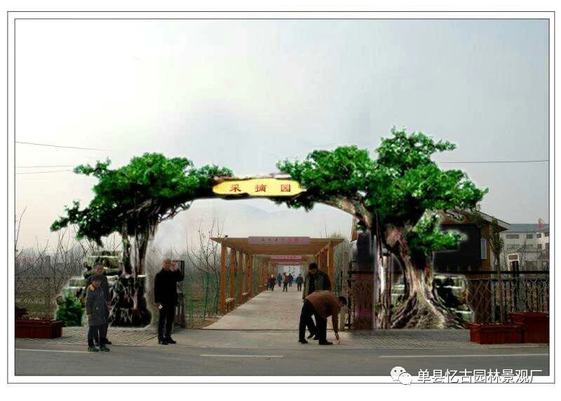 假樹大門 (292).jpg
