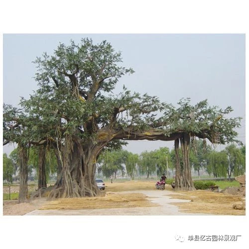假樹大門 (255).jpg