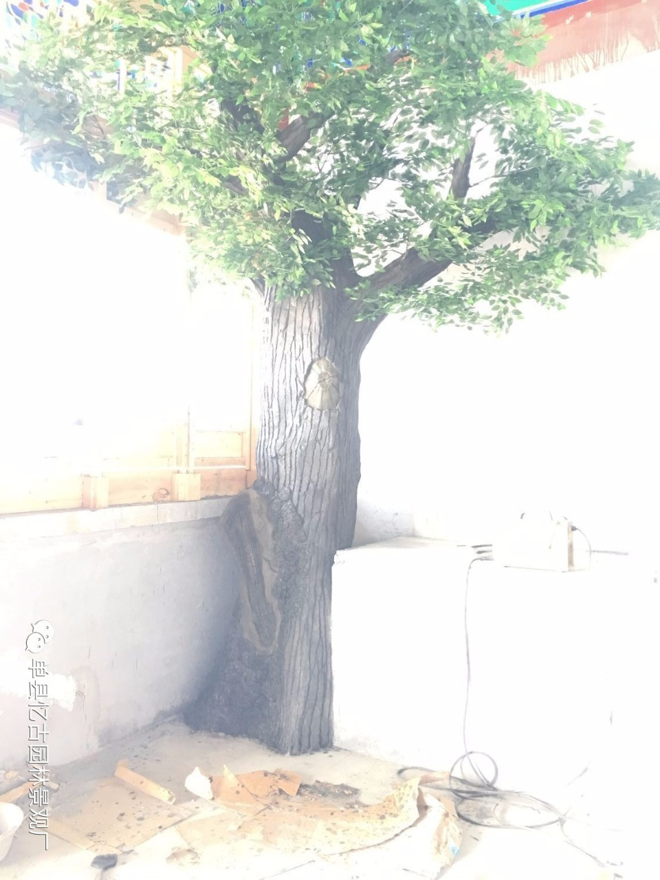 假樹大門 (15).jpg