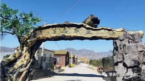 安慶水泥假樹大門制作,安慶地區(qū)假樹大門廠家