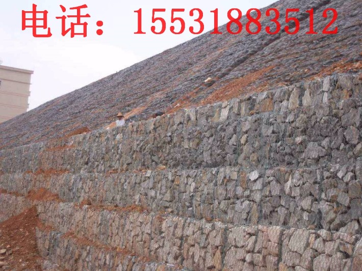 timg.jpg廠v - 副本.jpg