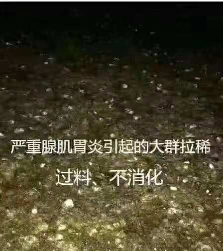 图片_205.jpg