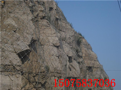 37077.jpg