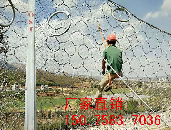 1510969982(1)_副本.png