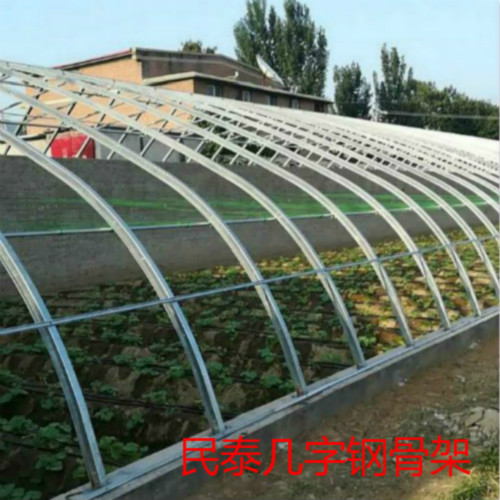 68824.jpg