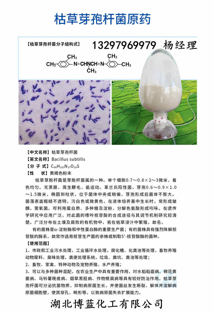 枯草芽孢桿菌簡介電話.jpg