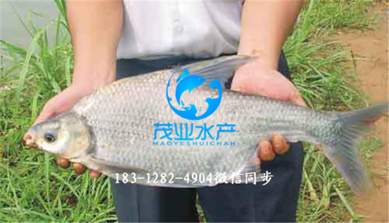 沙邊1.jpg