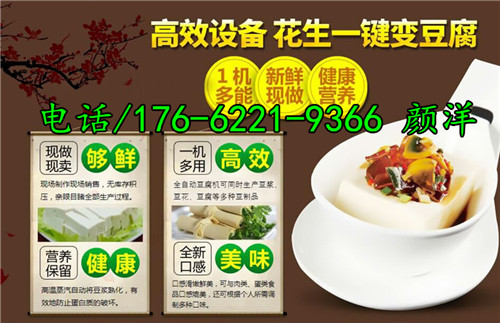 豆腐技术哪家好,专门做豆腐的品牌