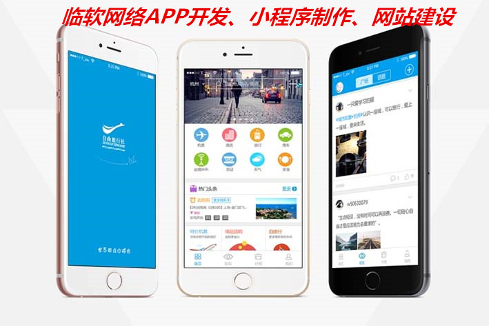 临软网络科技APP开发.jpg