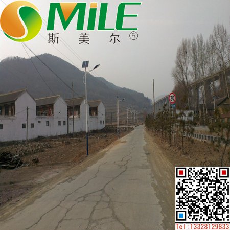 雙電板路燈 (11).jpg