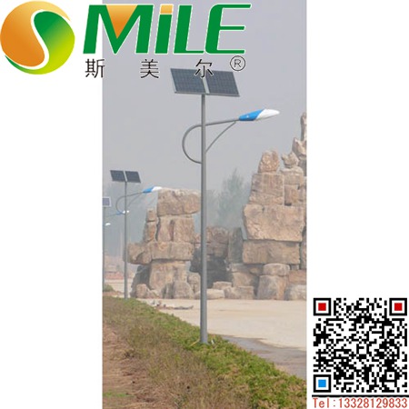 雙電板路燈 (14).jpg