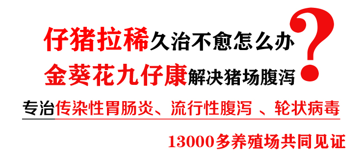 仔猪传染性胃肠炎药_金葵花九仔康