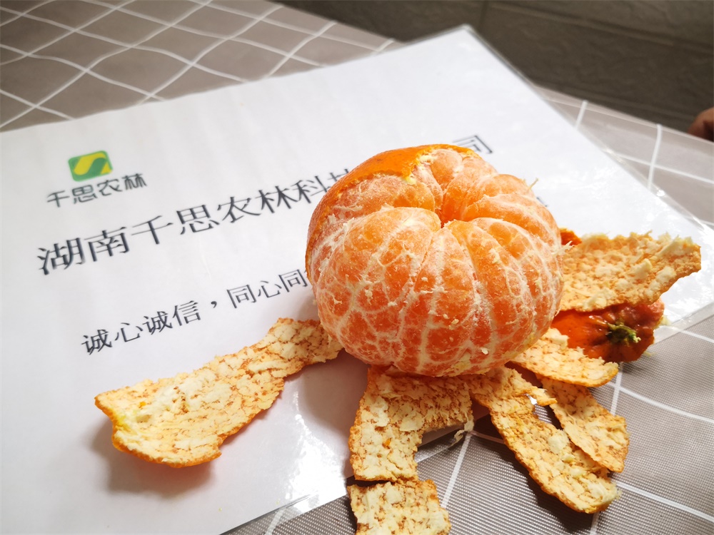 圖片_293.jpg