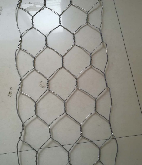 圖片_203_conew1.jpg