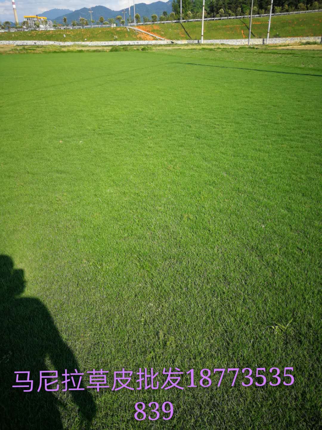 圖片_201.jpg