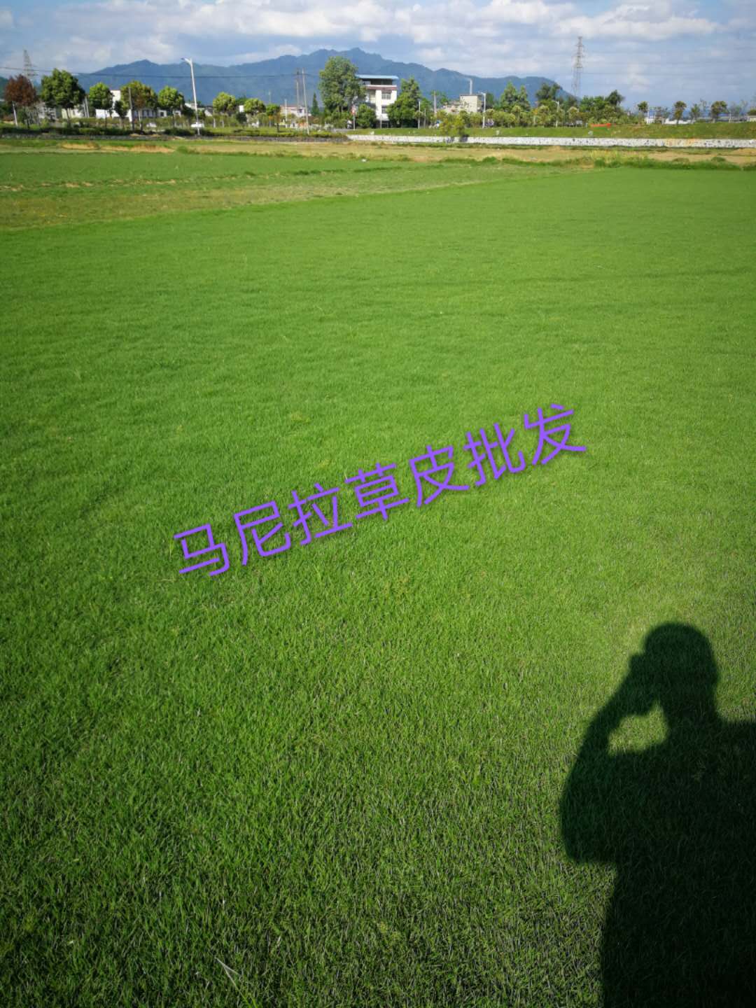 圖片_201.jpg