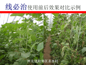線必治使用效果