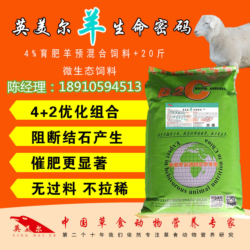 羊生命密碼主圖_副本.jpg