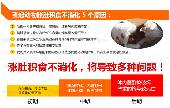 圖片_21.png