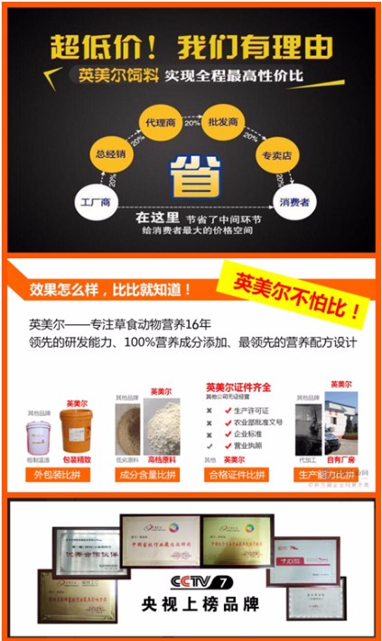 圖片_2019副本.jpg
