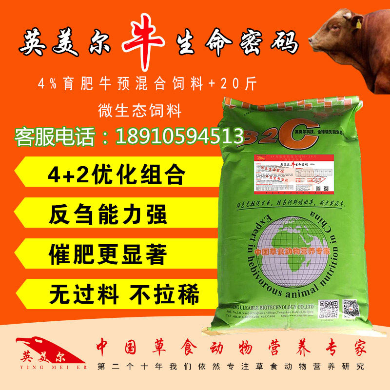 牛生命密碼_副本.jpg